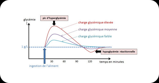 Barres Énergétiques à Faible Teneur en Sucre : Le Carburant Sain Sans Effet Yo-Yo